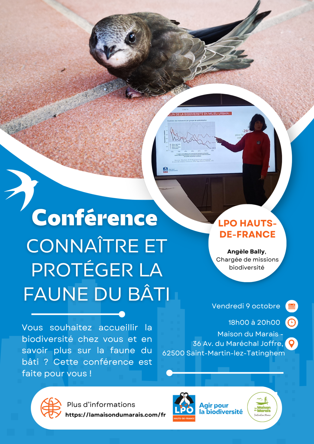Image présentation Conférence : Faune du bâti